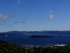 Wellington Skyline
